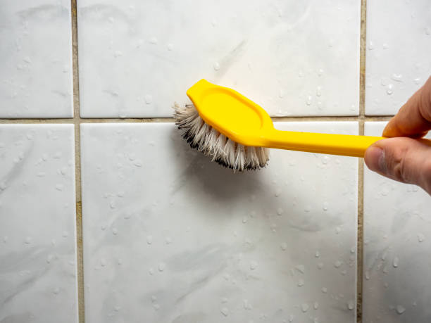Best Black Mold Removal  in Easton, CA