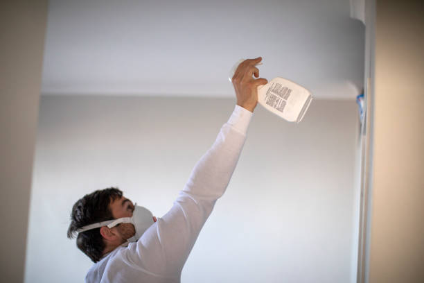 Best Emergency Mold Removal  in Easton, CA