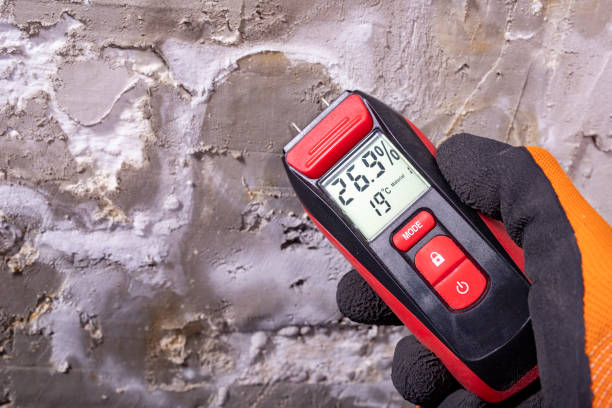 Best Mold Remediation  in Easton, CA