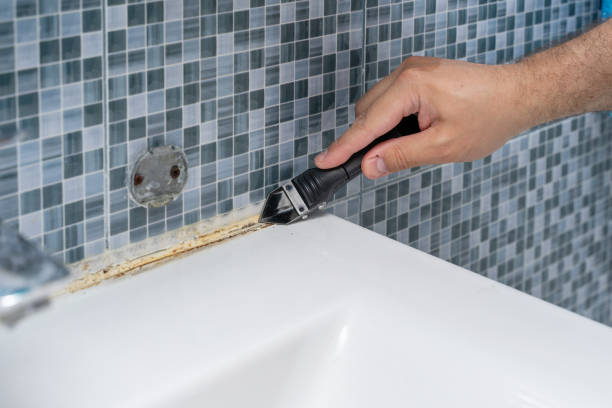  Easton, CA Mold Removal Pros