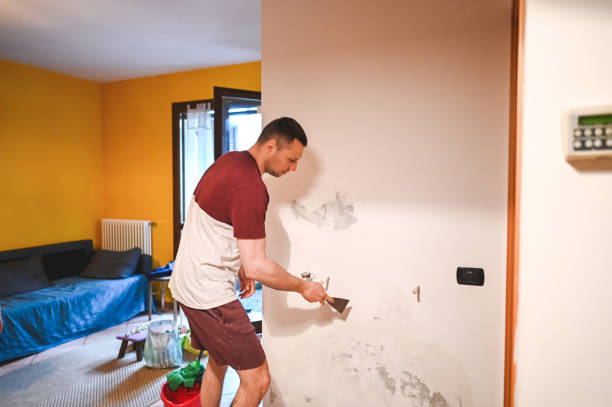 Best Certified Mold Removal  in Easton, CA